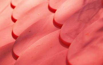 Leece plastic roof costs