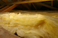 Leece pitch roof insulation