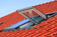 Leece roof window