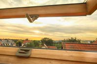 rated Leece roof window companies